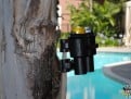 Robo Cup palm